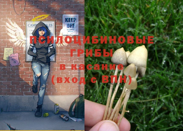 MDMA Каменка